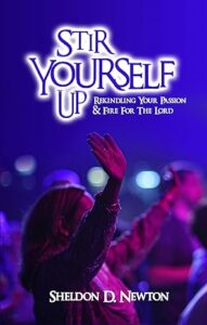 Book cover of Stir Yourself Up by Sheldon D Newton